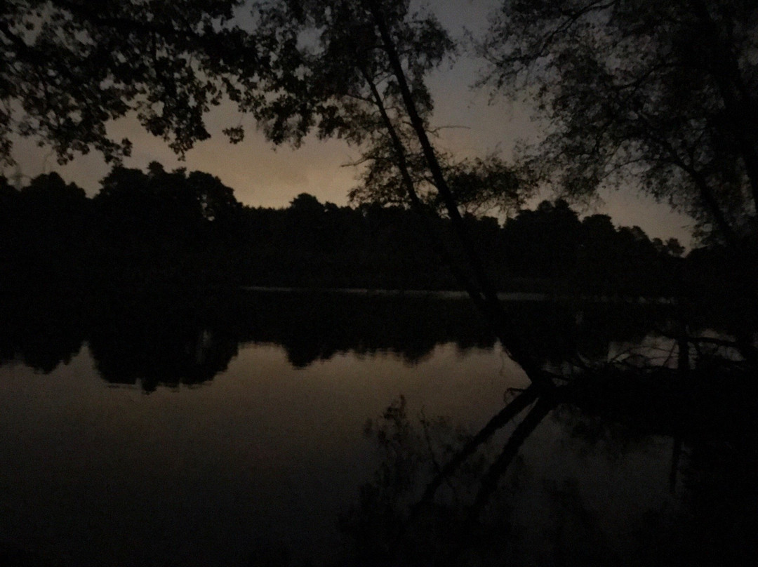 Black Pond景点图片
