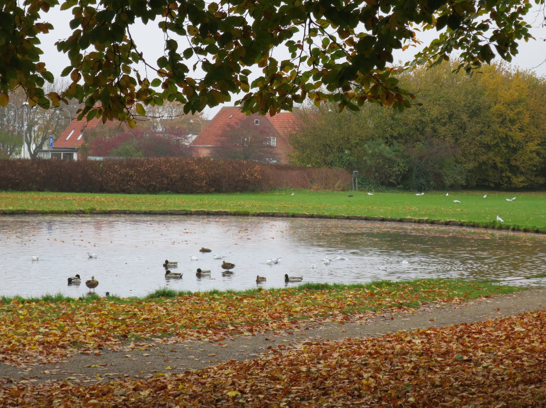 Byparken City Park, Roskilde-罗斯基勒必去景点