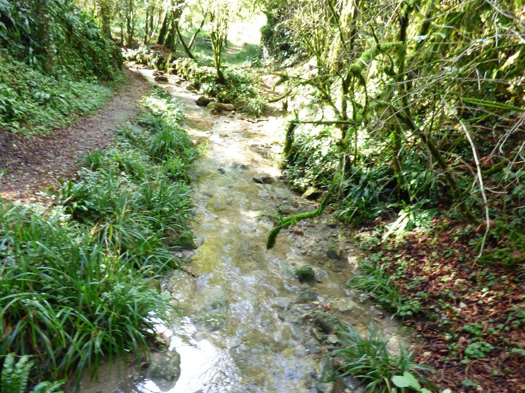 Cascade de la Vallière-Ceyzeriat必去景点
