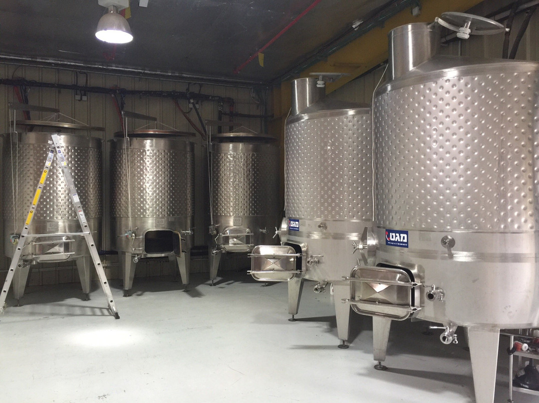 Tel Shifon Winery-Ortal必去景点