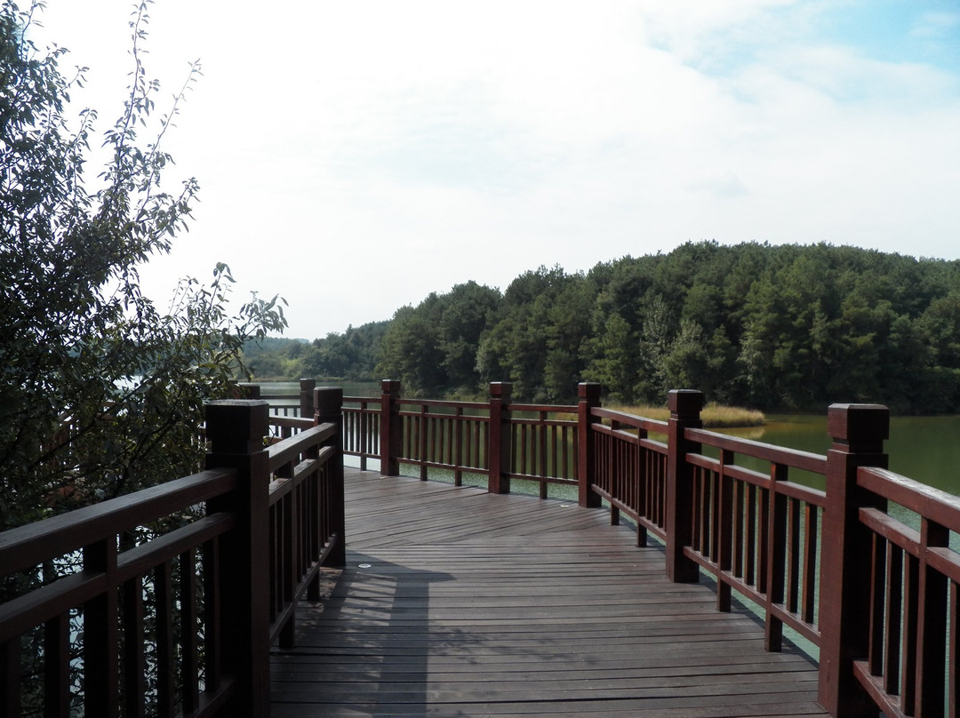 北斗湾开元酒店主图