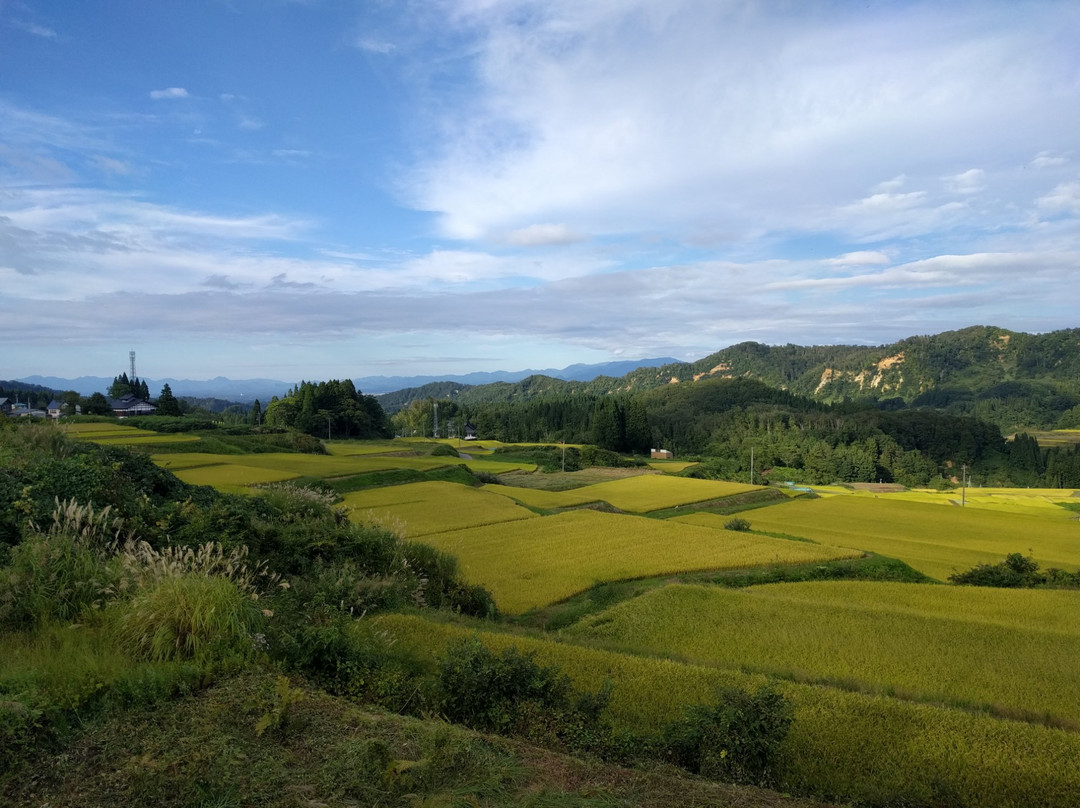 Shikamura Rice Terraces景点图片