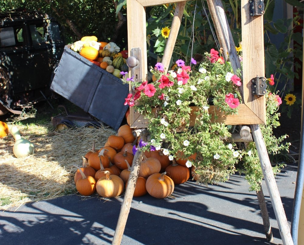 Parsons Fruit Stand-Keremeos必去景点