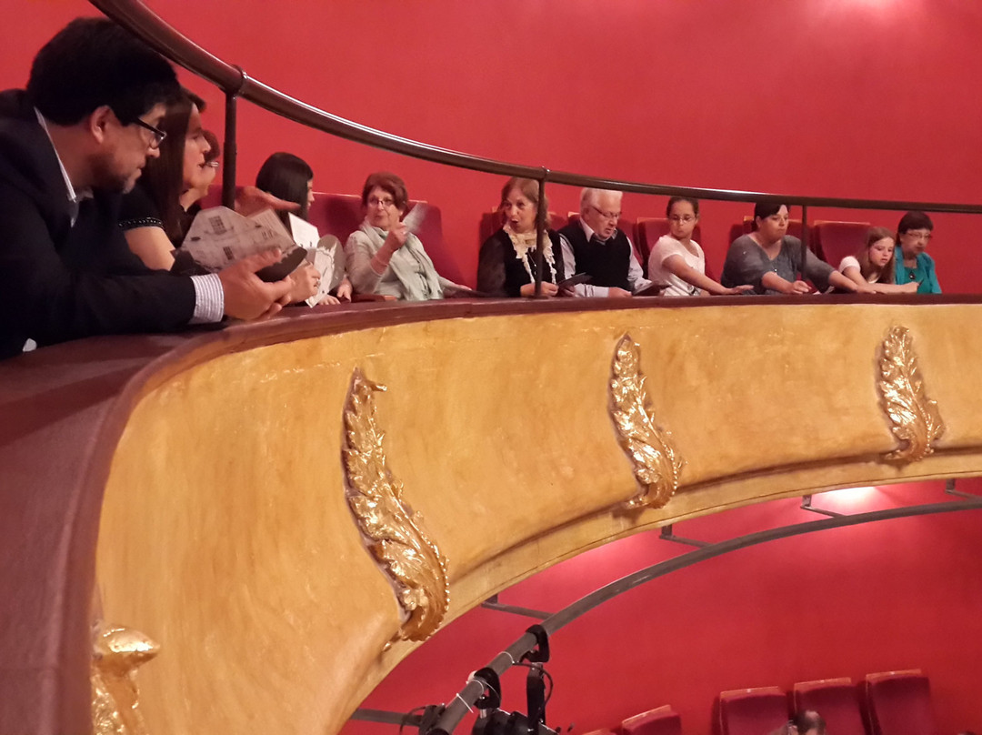 Teatro Miguel Young-弗赖本托斯必去景点