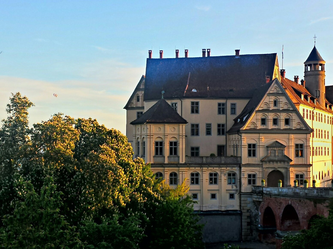 Schloss Heiligenberg景点图片