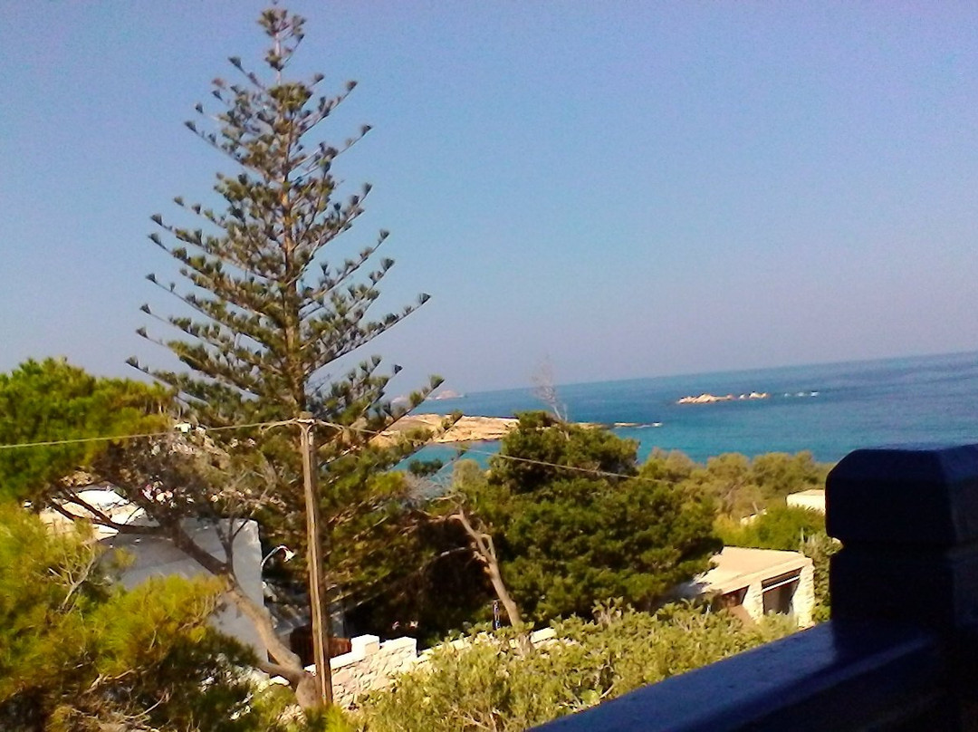 Bella Vista Studios主图