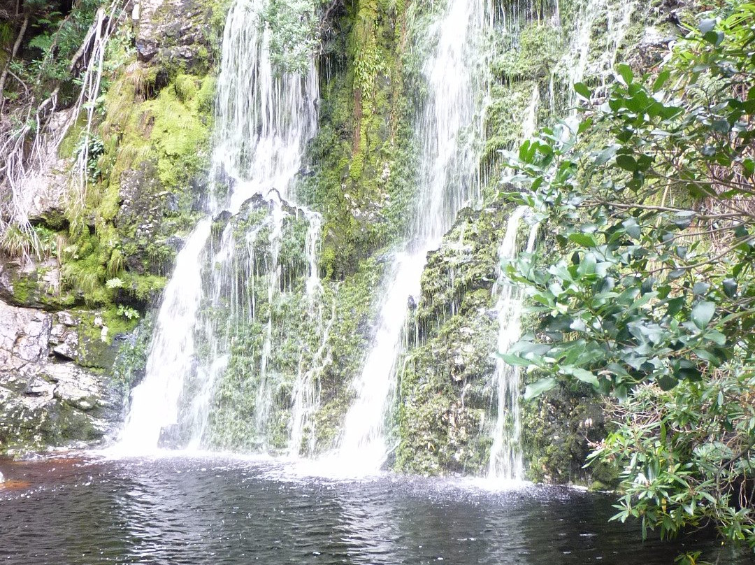 Old Whaling Station-Betty's Bay必去景点