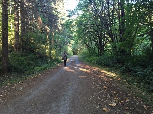 Siuslaw Falls景点图片