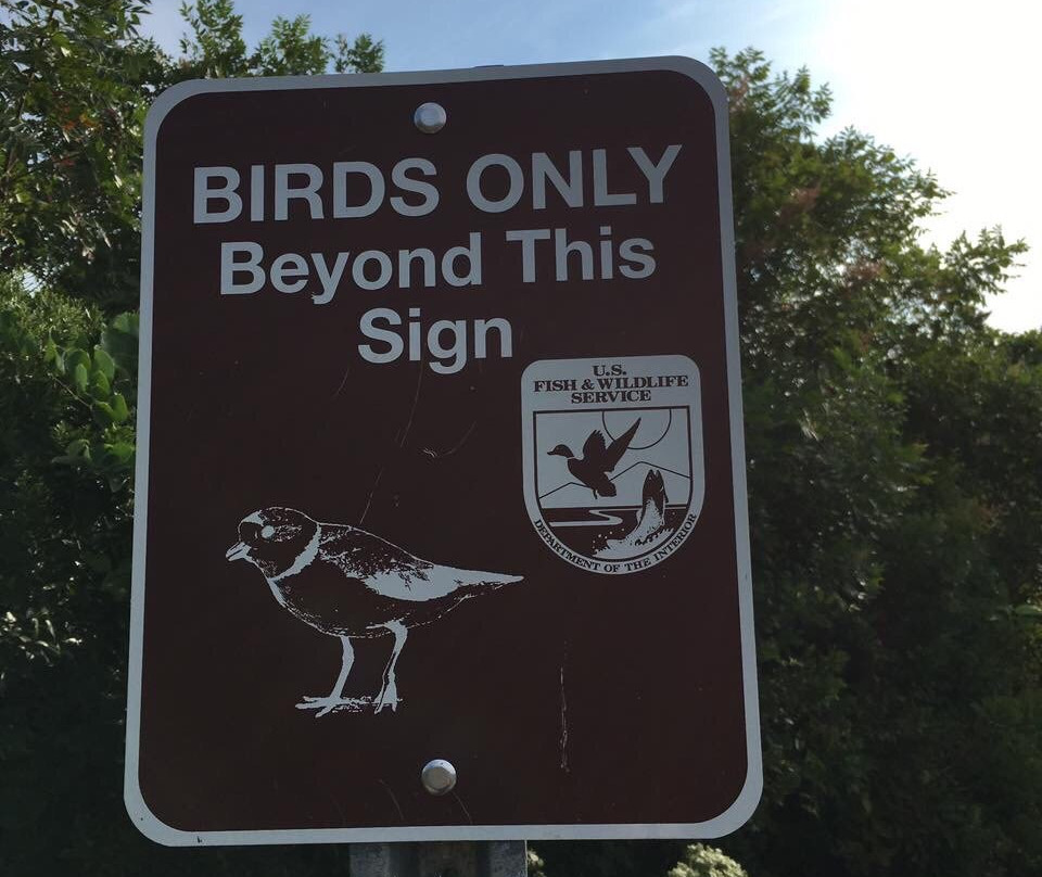 Cape May National Wildlife Refuge-开普梅考特豪斯必去景点