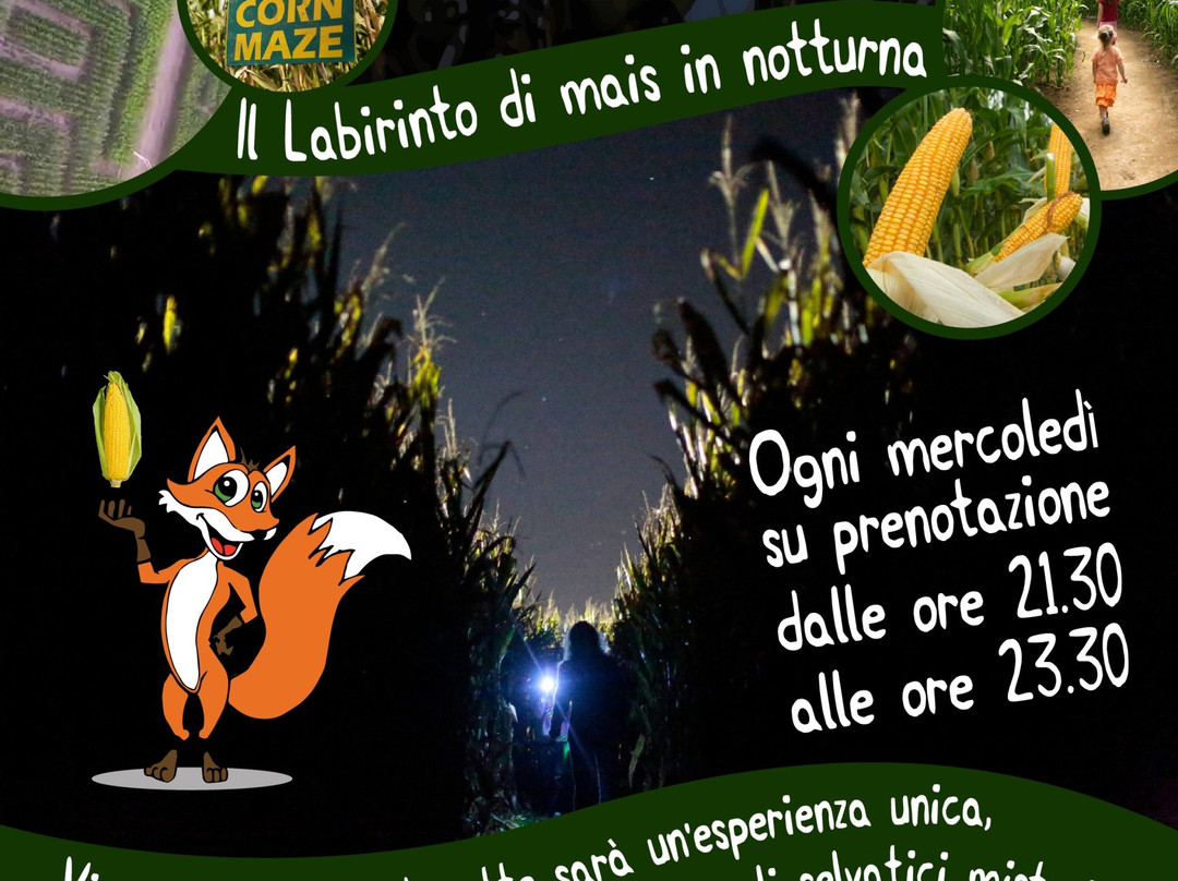 Labirinto di mais di San Rossore-比萨必去景点