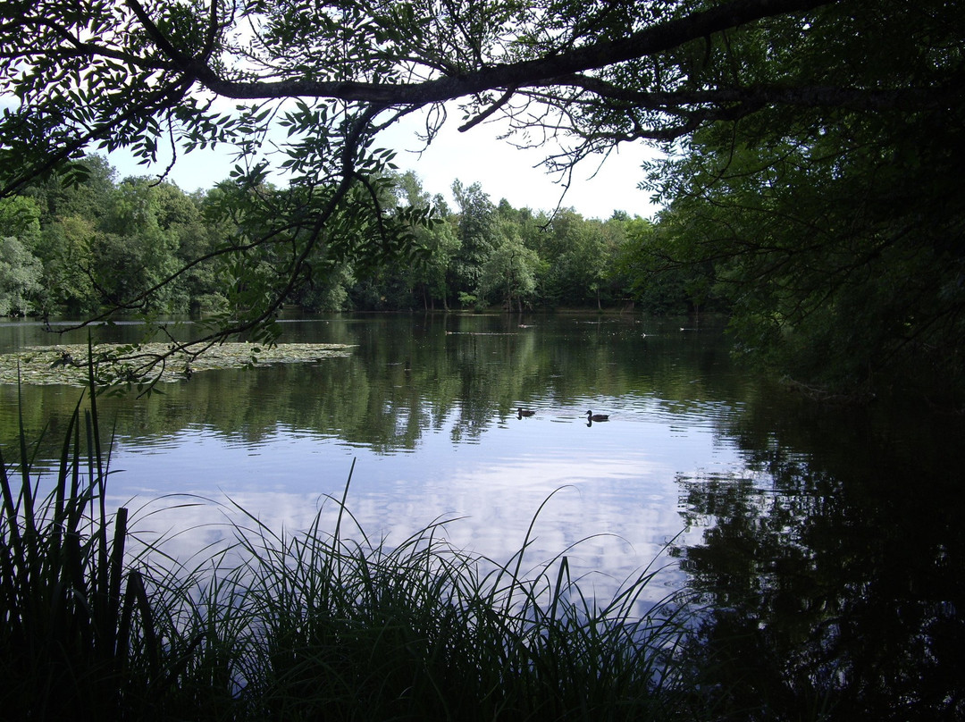 Parc de la Ballastière景点图片