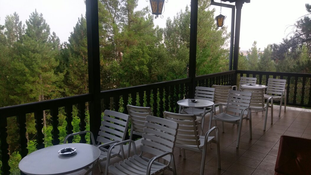 Milionis Forest Hotel主图