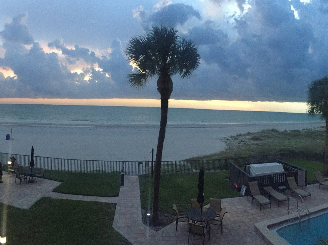 The Shores Condominiums主图