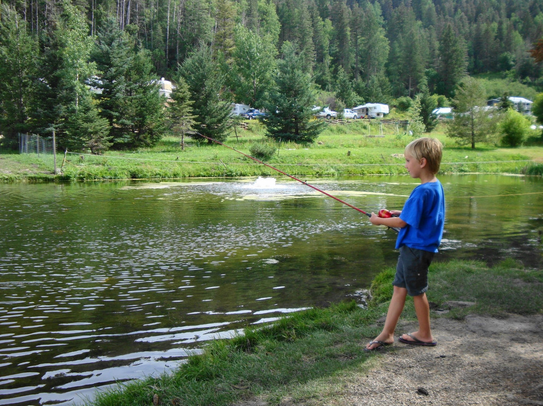 Silver Springs Fishing Pond-Cloudcroft必去景点