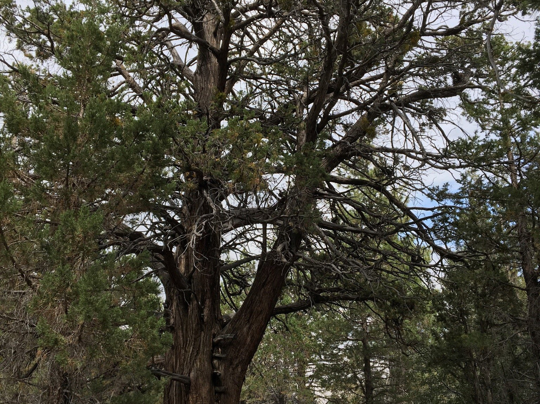 Alpine Pedal Path-大熊湖必去景点