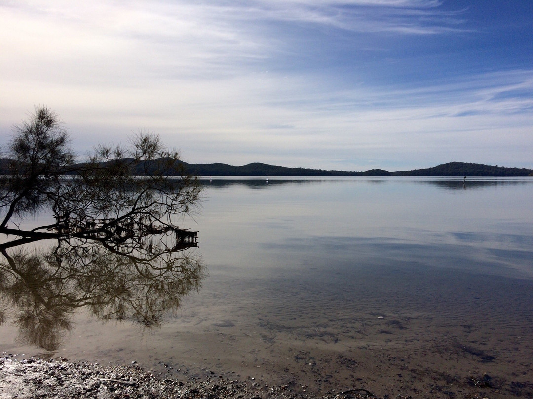 Queens Lake Walking Track-Laurieton必去景点