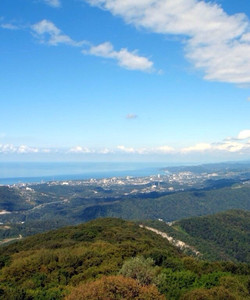 阿坤山观景塔景点门票图片