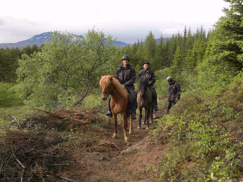 Horseriding in Iceland