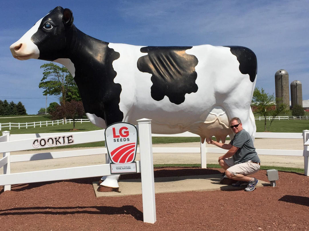 Schopf's Hilltop Dairy-斯特金贝必去景点
