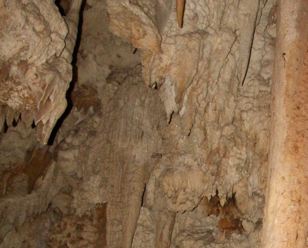 Guajataca Forest Reserve-Isabela必去景点