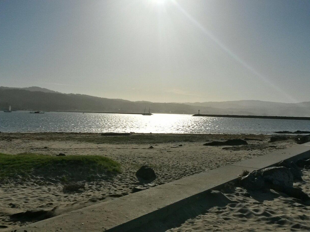 Mavericks Beach-半月湾必去景点