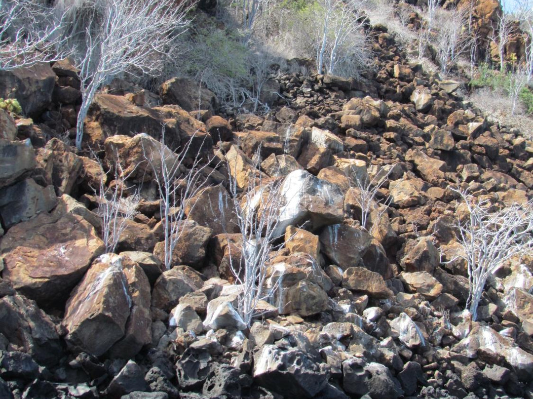 Isla Daphne Mayor-加拉帕戈斯群岛必去景点