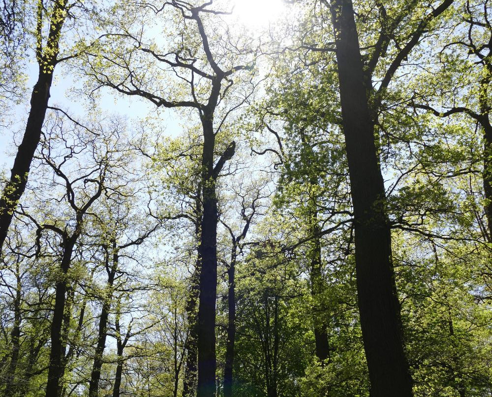 Hannover Tiergarten