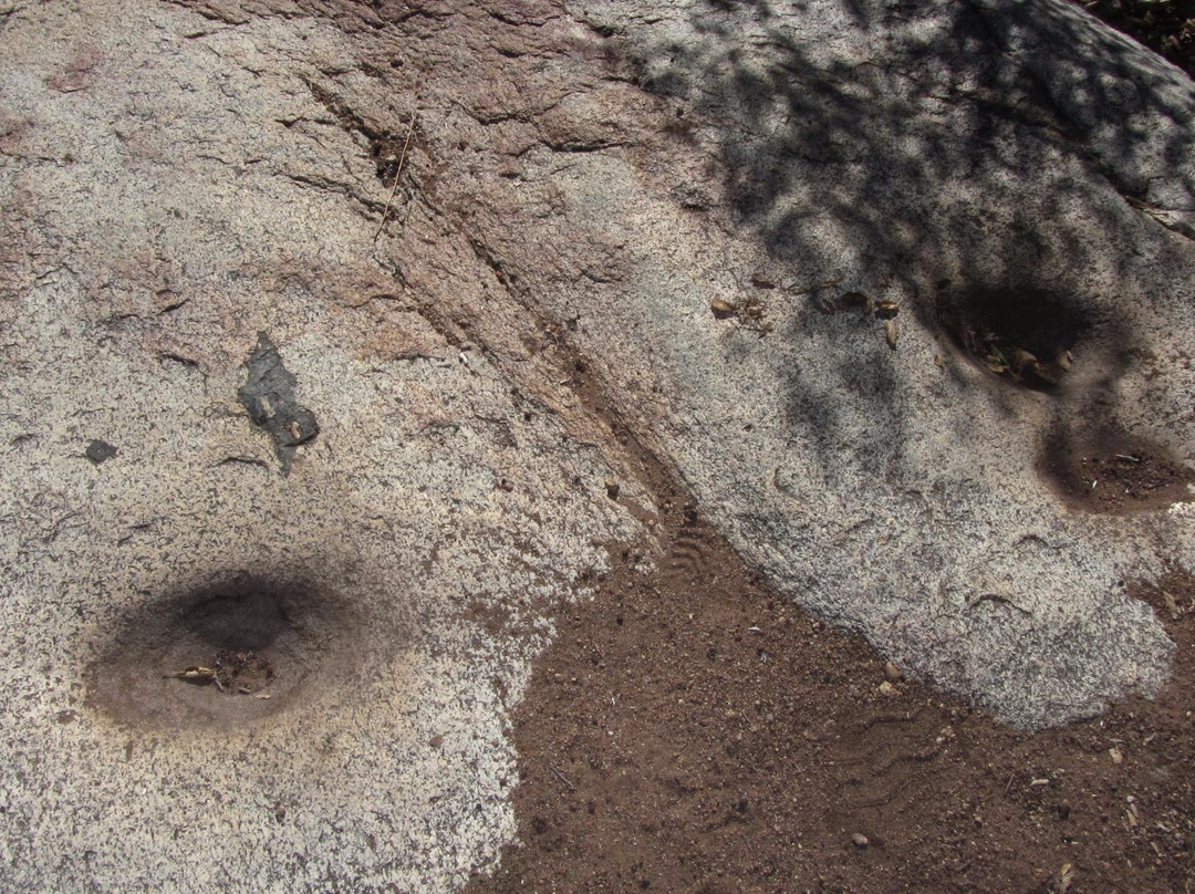 Goodan Ranch Sycamore Canyon Preserve景点图片