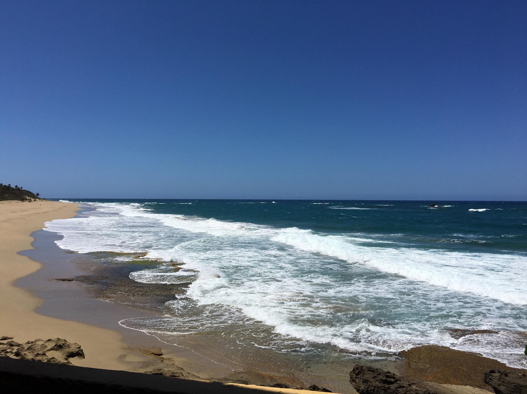 阿雷西沃餐馆和美食-Playa Brava
