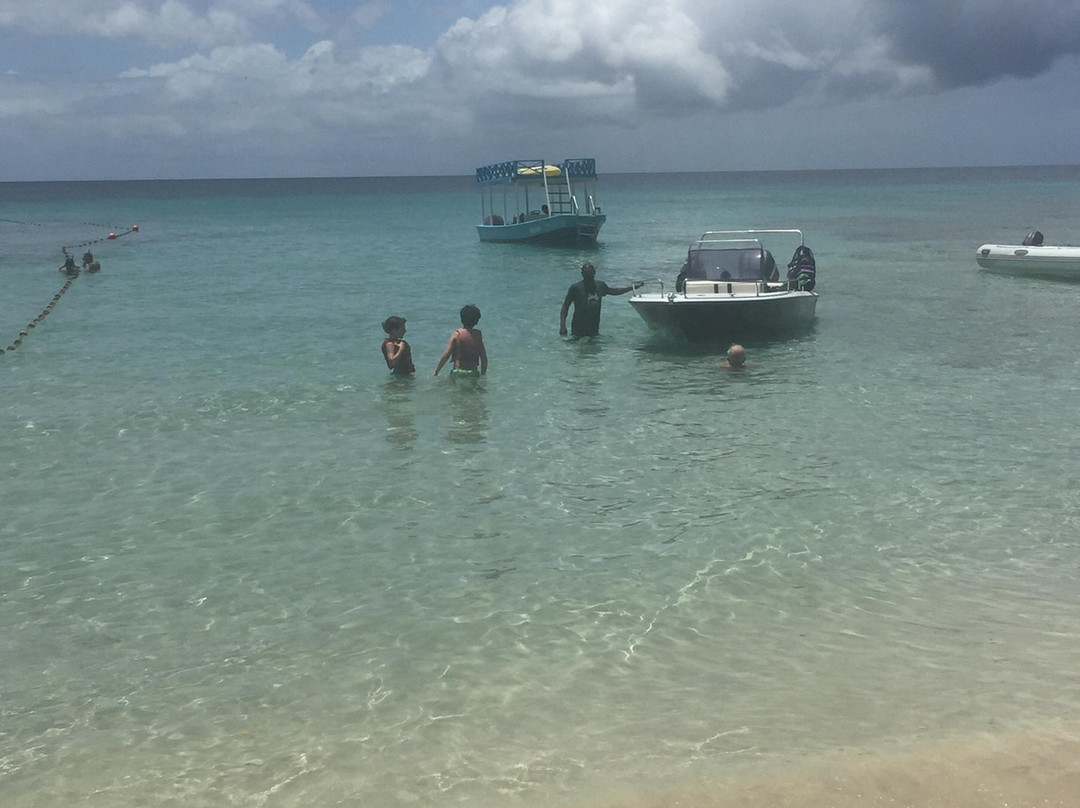 Edmo Watersports-Speightstown必去景点