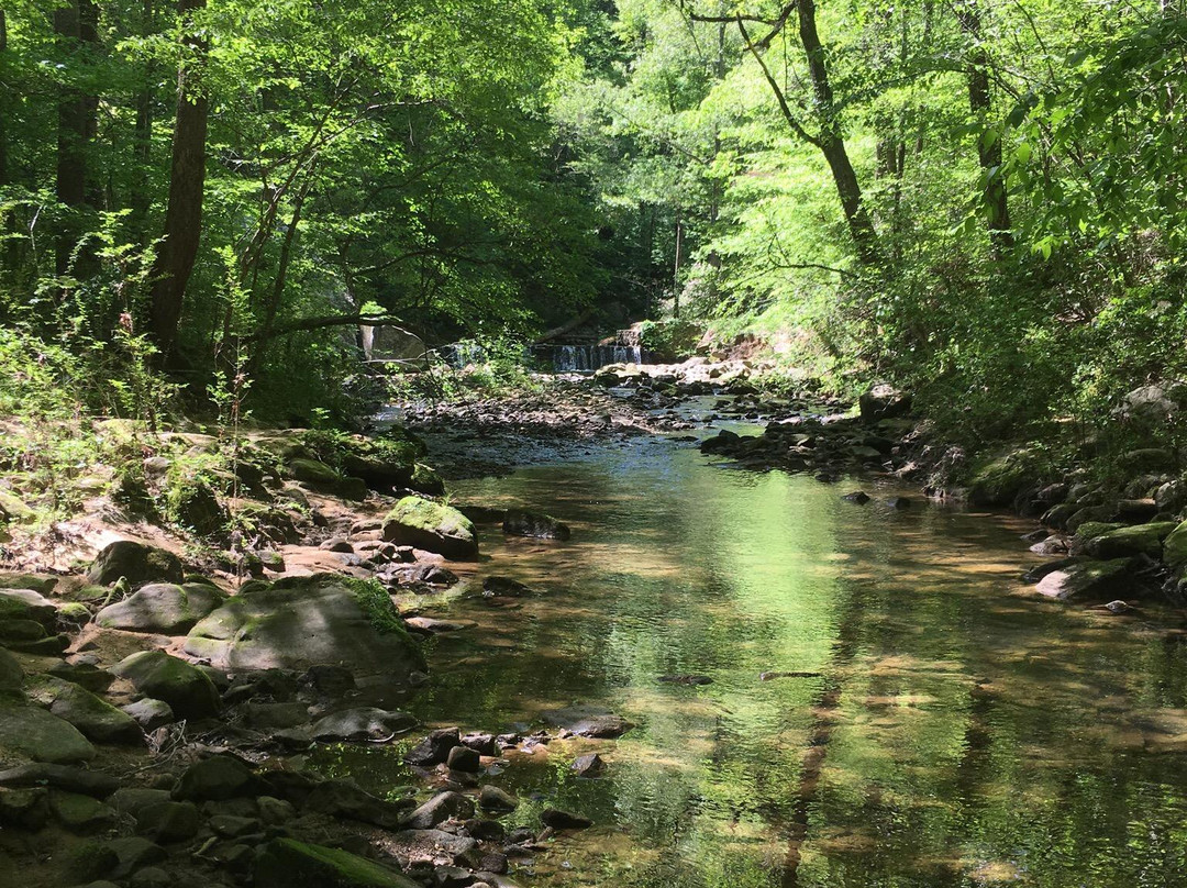 Hurricane Creek Park景点图片