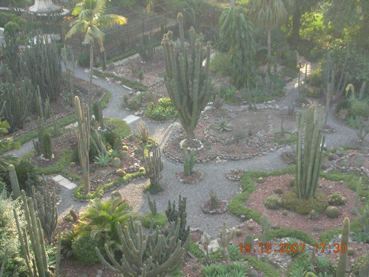 Cactus Garden Sailana景点图片