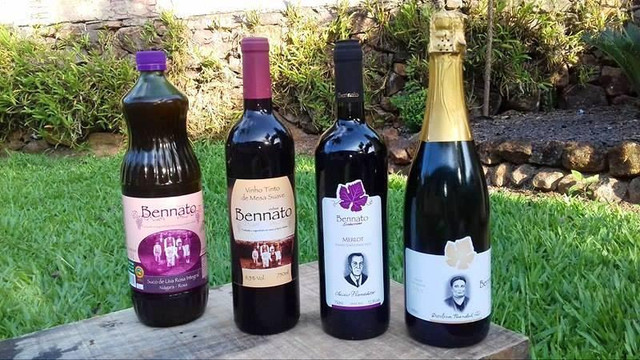 Vinicola Bennato-Rolante必去景点