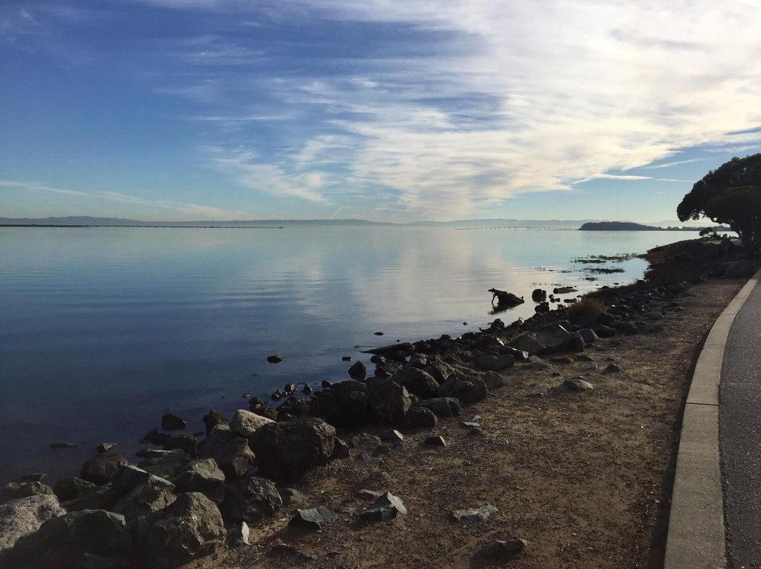 Bayfront Park-密尔布瑞必去景点