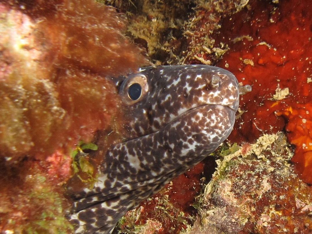 Jeremi Baai-Sabana Westpunt必去景点