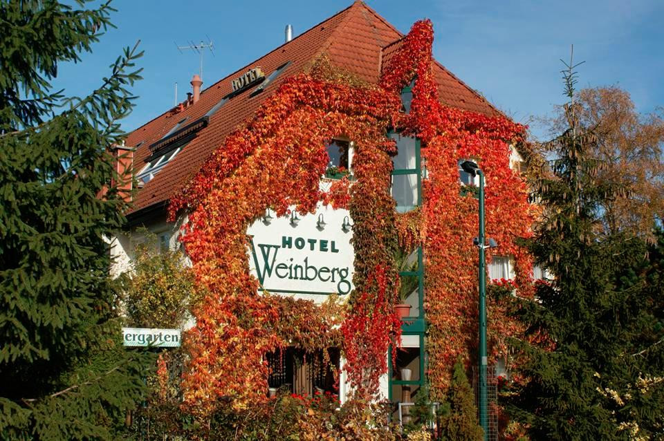 温伯格酒店主图