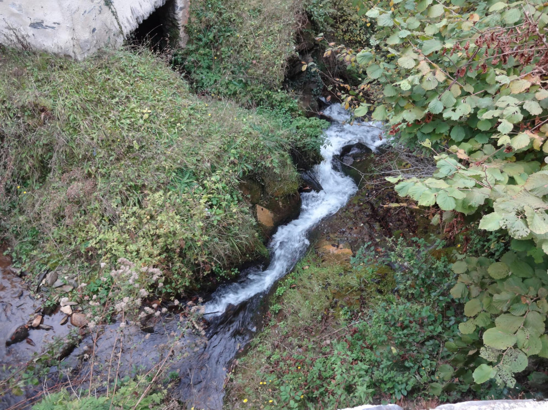 Ourdis-Cotdoussan旅游景点-Château de Castelloubon