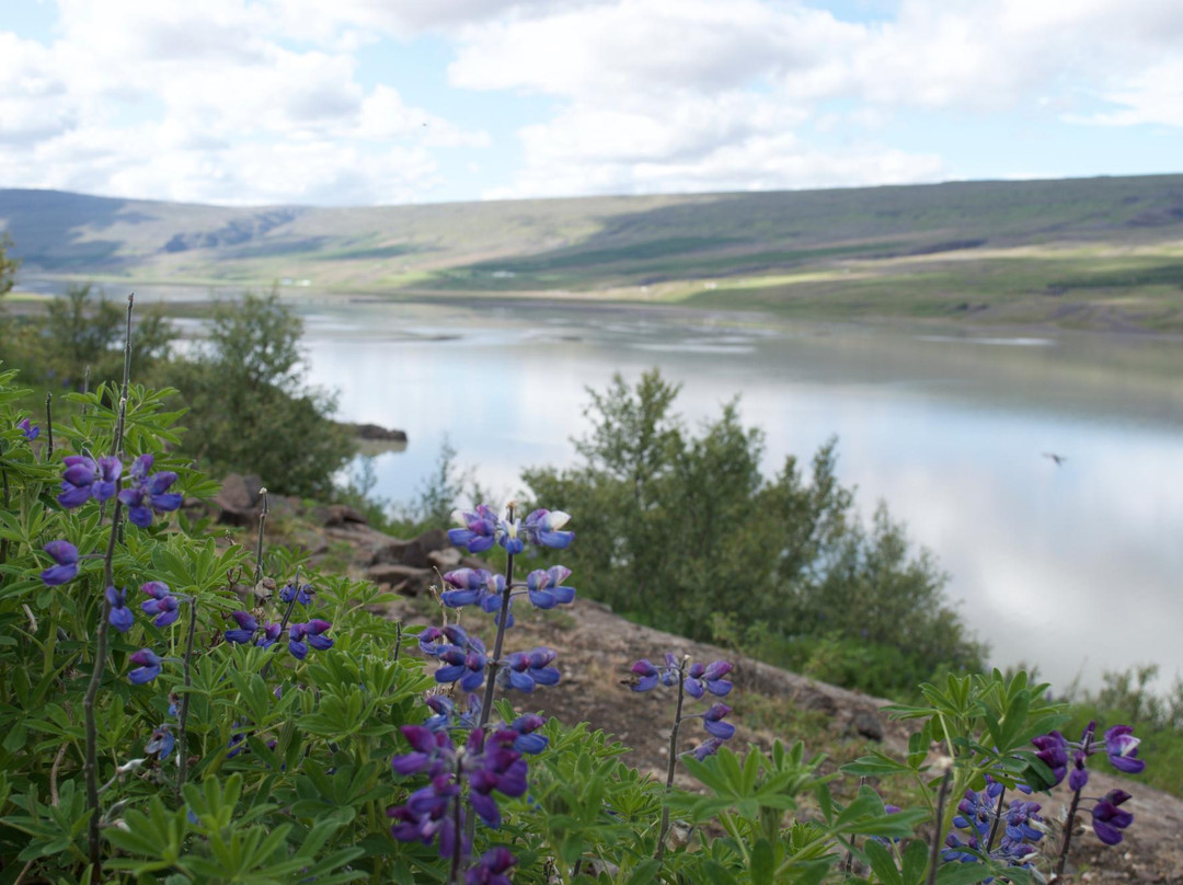 Lagarfljot-埃伊尔斯塔济必去景点