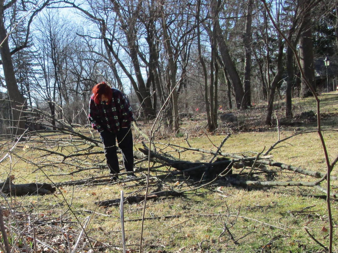 Benton House Historic Garden-印第安纳波利斯必去景点
