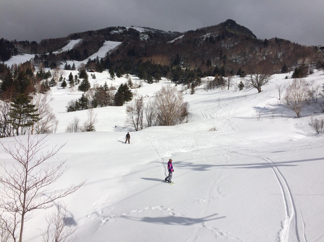 Yamada Farm, Yamaboku Wild Snow Park-高山村必去景点