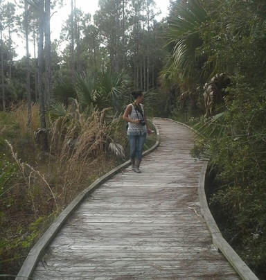 Withlacoochee Gulf Preserve-Yankeetown必去景点