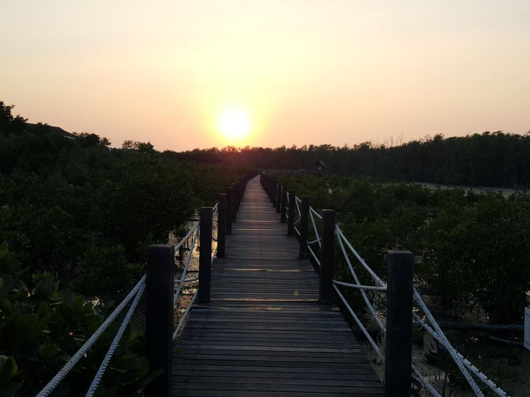 Center for Ecotourism-春武里必去景点