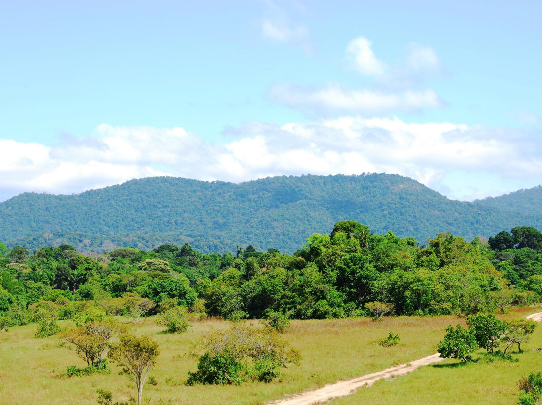 Rupununi旅游攻略图片