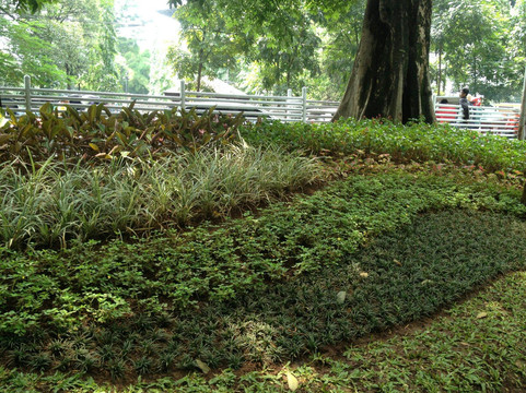 Lansia Park-万隆必去景点