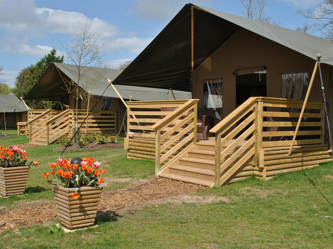 Bear Lodge