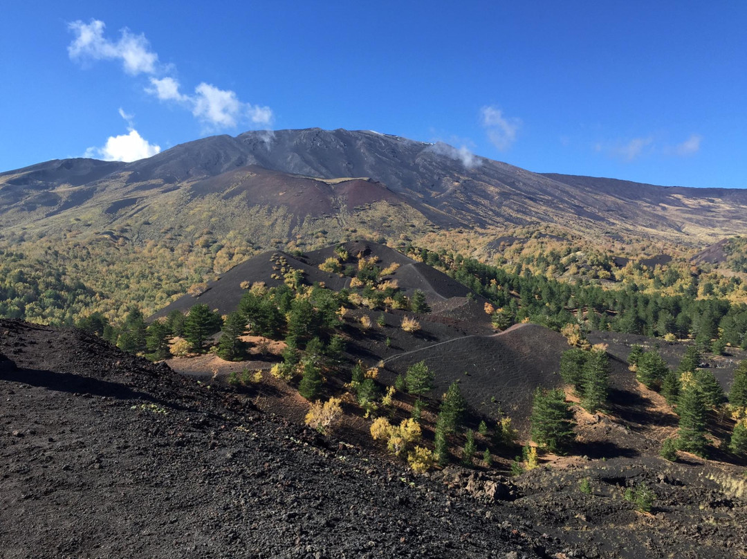 Etna Discovery景点图片