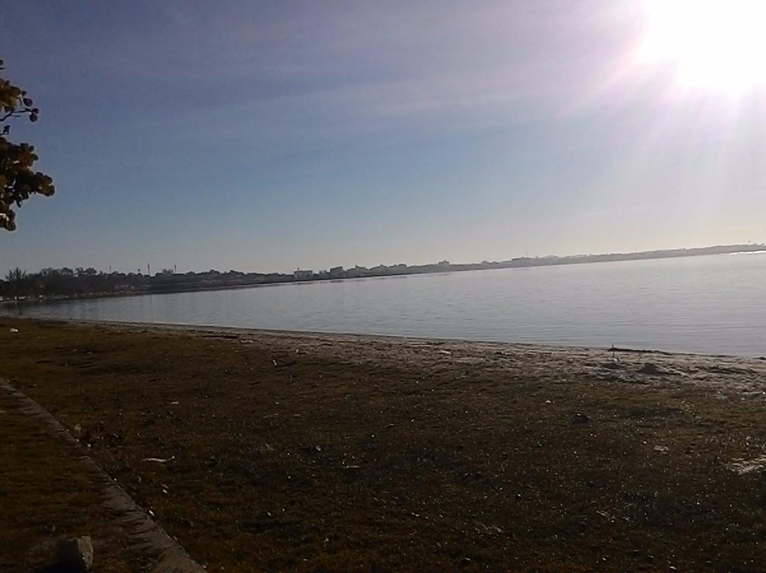 Pontinha Beach景点图片
