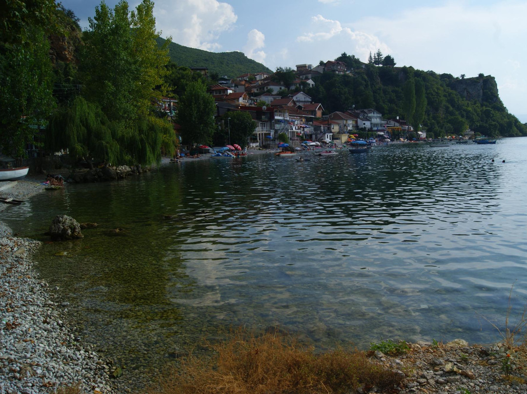 null-Trpejca