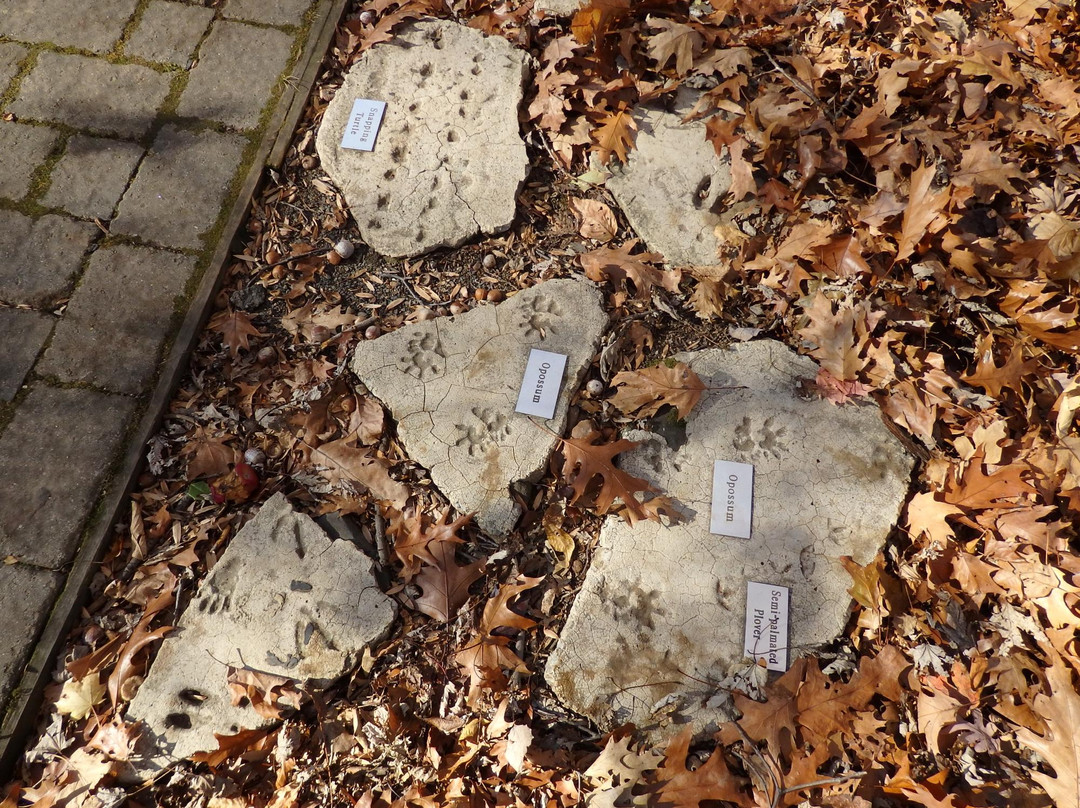 Trailside Nature & Science Center-Mountainside必去景点