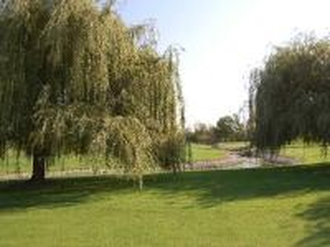 Bluffton Golf Club-Bluffton必去景点